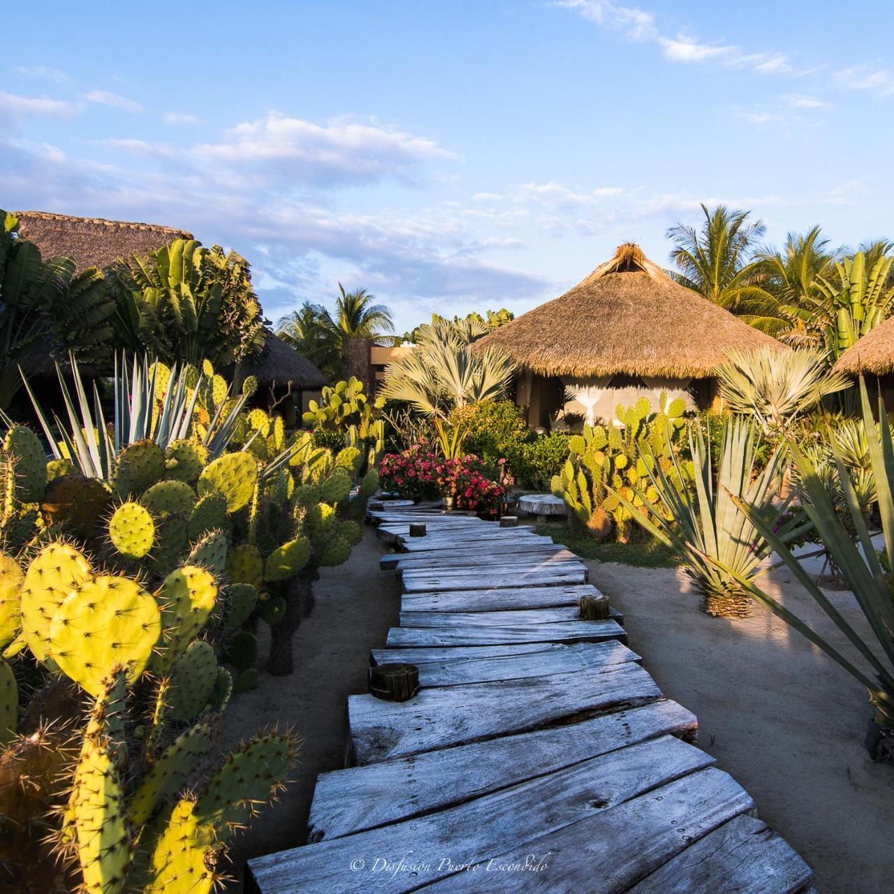 Samora Luxury Resort Santa María Colotepec المظهر الخارجي الصورة